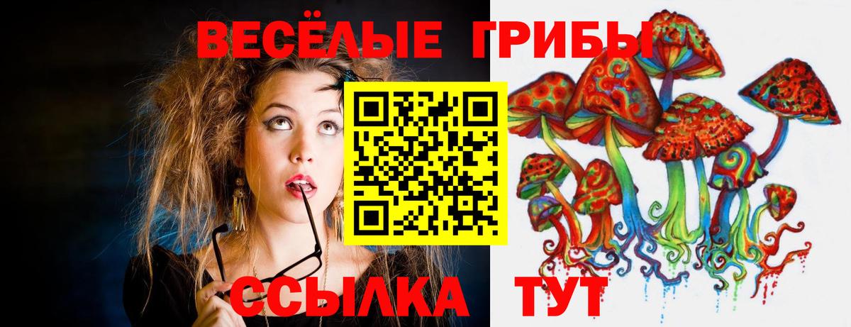 Галлюциногенные грибы мухоморы Тулун