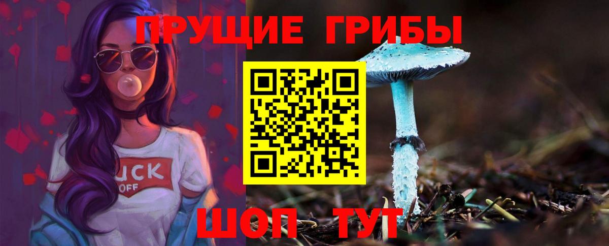 Псилоцибиновые грибы прущие грибы  Псилоцибиновые грибы ЛСД  Тулун  Вход с VPN 